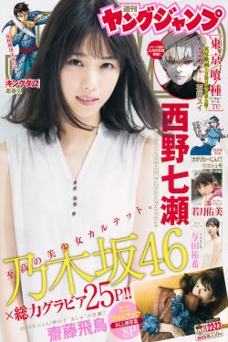 电视剧 黑狐
